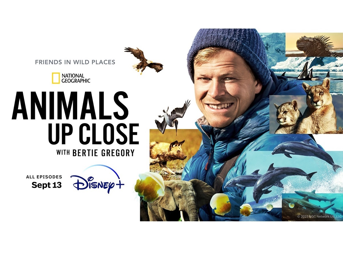 Animals Up Close With Bertie Gregory: Season 1 2023