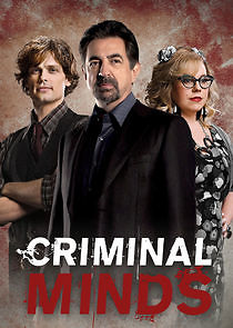 Criminal Minds - Season 16 2022