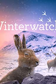 Winterwatch - Season 11 2022